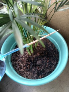 IMG_20170527_120056251